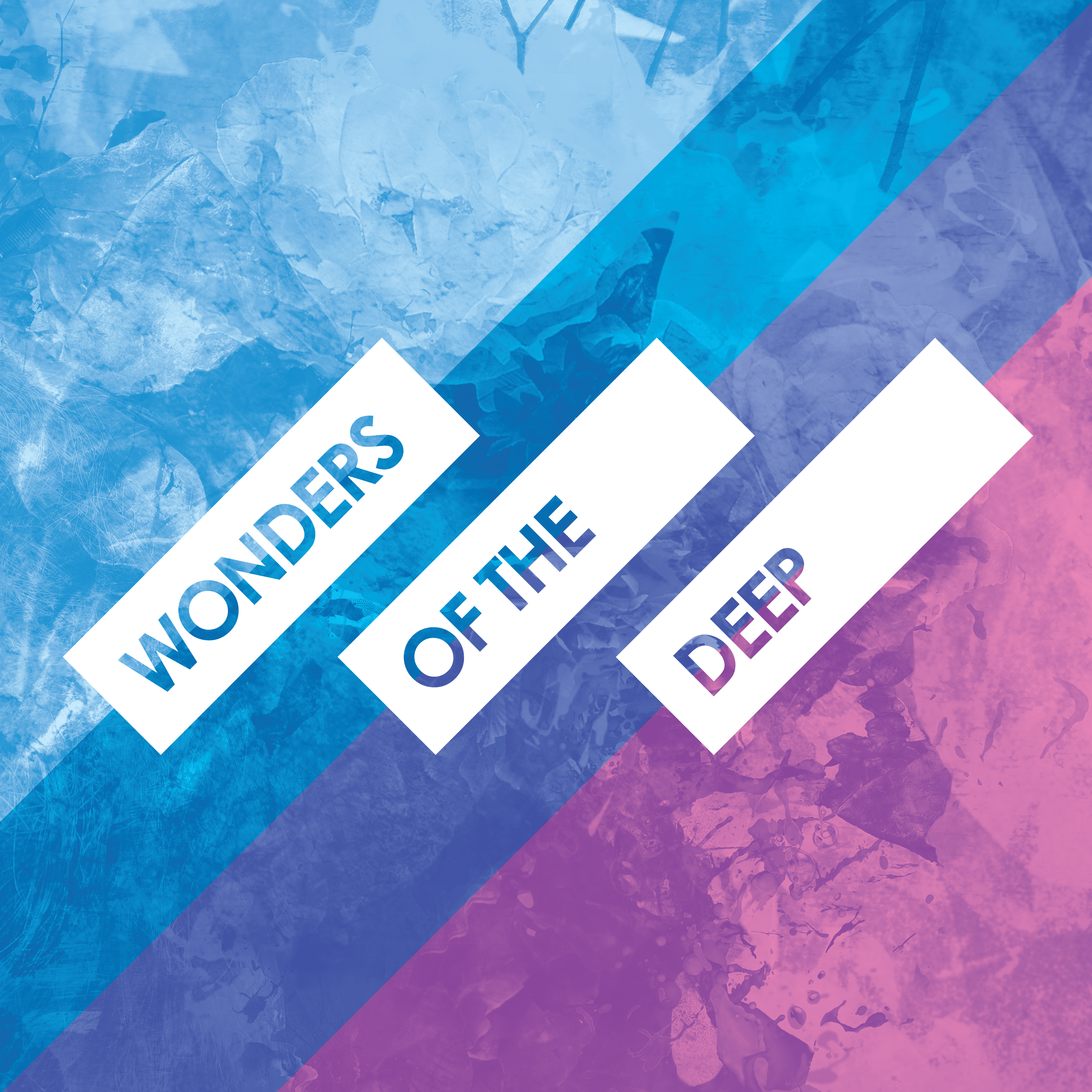 Wonders Of The Deep with Lomer